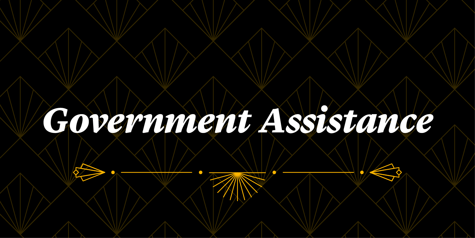 government assistance discount