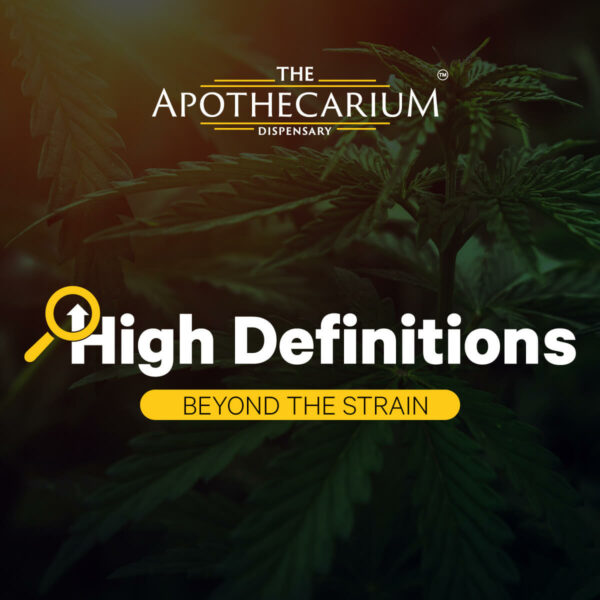 high definitions cannabis education